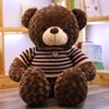 Gấu Teddy áo nhồi bông