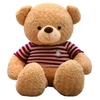 Gấu Teddy áo nhồi bông