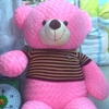 Gấu Teddy áo nhồi bông