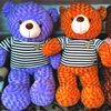 Gấu Teddy áo nhồi bông