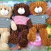 Gấu Teddy áo nhồi bông