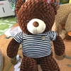 Gấu Teddy áo nhồi bông