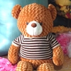 Gấu Teddy áo nhồi bông