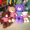 Gấu Teddy áo nhồi bông