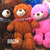 Gấu Teddy áo nhồi bông