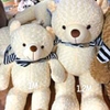Gấu Teddy áo nhồi bông