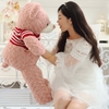 Gấu Teddy áo nhồi bông