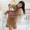 Gấu Teddy áo nhồi bông