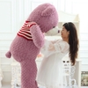 Gấu Teddy áo nhồi bông
