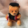 Gấu tốt nghiệp nhồi bông