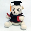 Gấu tốt nghiệp nhồi bông