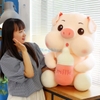 Heo ôm bình sữa nhồi bông
