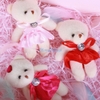 Gấu Teddy nhỏ xinh xắn - 12 cm