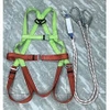 Dây an toàn toàn thân sài gòn 2 móc