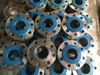 Mặt bích Inox