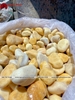 SỎI VÀNG QUAY TỰ NHIÊN