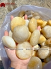 SỎI THẠCH ANH TRẮNG TỰ NHIÊN
