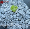 SỎI XANH XÁM TỰ NHIÊN