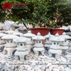 SẢN XUẤT ĐÈN ĐÁ - CHẬU ĐÁ