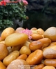 SỎI VÀNG THẠCH ANH