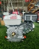 Động Cơ Xăng Oshima 5.5Hp OS160 New