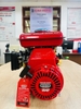 Động Cơ Xăng Oshima 2.5HP 154F