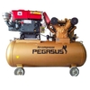 Máy Nén Khí Đầu Nổ Chạy Dầu Pegasus 10HP TM-W-1.0/8-330L