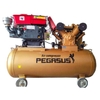 Máy Nén Khí Đầu Nổ Chạy Dầu Pegasus 10HP TM-W-1.0/8-500L