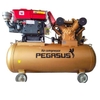 Máy Nén Khí Đầu Nổ Chạy Dầu Pegasus 15HP TM-W-1.6/8-500L