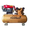Máy Nén Khí Đầu Nổ Chạy Dầu Pegasus 20HP TM-W-2.0/12.5-500L