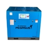 Máy Nén Khí Trục Vít Biến Tần Pegasus 15Kw TMBT-20A