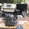 Động Cơ Xăng Benly 5.5HP Tua Nhanh GX160