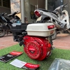 Máy Nổ – Động Cơ Xăng Champion 7.5HP CP-230