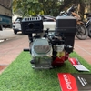 Máy Nổ – Động Cơ Xăng Champion 7.5HP CP-230