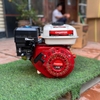 Máy Nổ – Động Cơ Xăng Champion 7.5HP CP-230R Tua Chậm