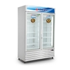 5T6NHL43145 Tủ đông Alaska 2 cánh 700 lít IF-700G2