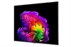 6ch36000! TV OLED evo LG AI 4K G6 55 inch