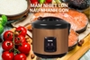 89GD510 Nồi cơm điện Benny BR-12PVS