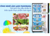 Tủ lạnh Panasonic Inverter 188L NR-BA229PAVN