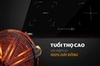 2.4TP9800 Bếp đôi điện từ hồng ngoại Apex APB9982