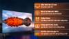 6tch*Google Tivi Xiaomi A 32 inch L32M8-P2SEA