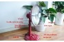 2T.GD890 Quạt sưởi Tiross TS929 (TS-929)