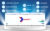 AA18700 Tủ đông Sanaky VH1199HY