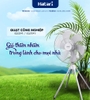99GL2050  Quạt đứng công nghiệp 4 chân Hatari IQ-22M1