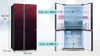 6T23900 Tủ lạnh Sharp Inverter 572 lít SJ-FXP640VG-MR