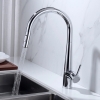14'4N1550 Vòi rửa Roslerer RL-168