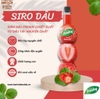 syrup-vo-chanh-xanh-710ml-freshy-nguyen-lieu-pha-che-tobee-food