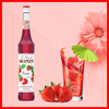 siro-monin-dau-tay-1l-monin-nguyen-lieu-pha-che-tobee-food