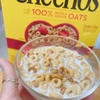 Bánh ngũ cốc yến mạch ăn sáng ăn dặm Cheerios chuẩn Mỹ 576g