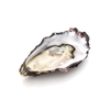 Tinh chất hàu Oyster Plus Zinc Úc 60 viên